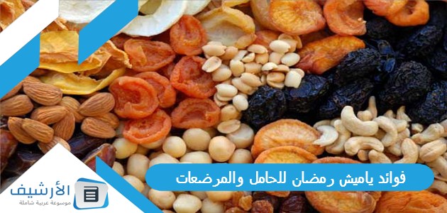 فوائد ياميش رمضان للحامل والمرضعات