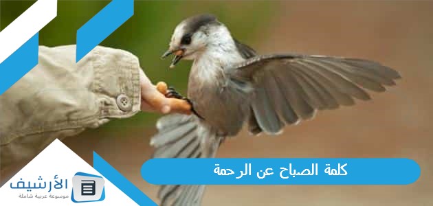 كلمة الصباح عن الرحمة