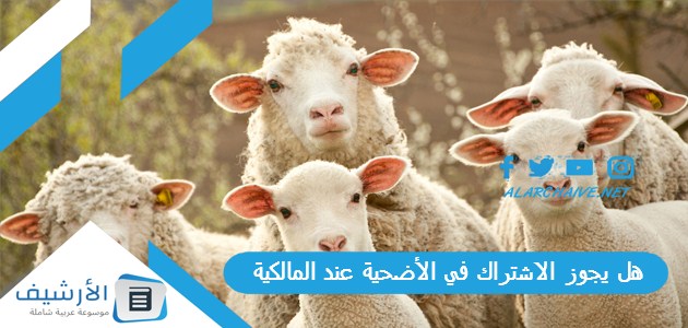 هل يجوز الاشتراك في الأضحية عند المالكية