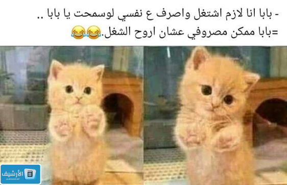 بوستات مضحكة مكتوبة للنسخ