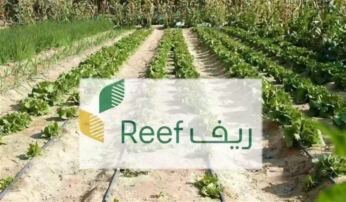 للمتقاعدين | متطلبات وشروط التسجيل في دعم ريف 1445 وخطوات التسجيل الصحيحة