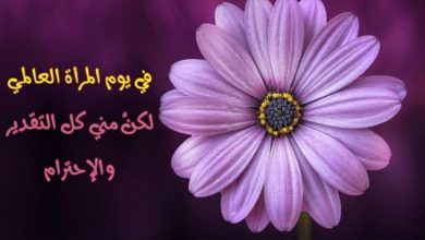 تهاني عيد المرأة