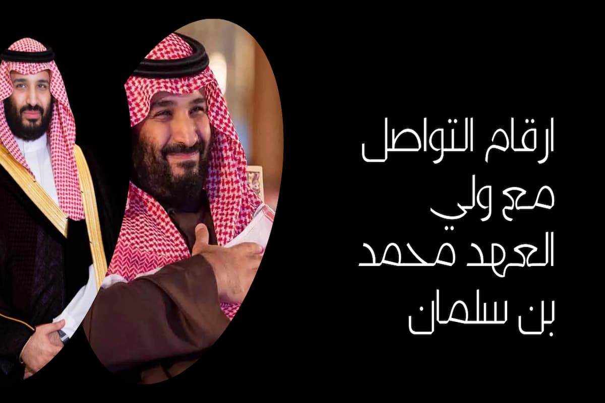 كيف أتواصل مع الأمير محمد بن سلمان